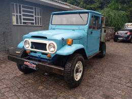 TOYOTA - BANDEIRANTE - 1967/1967 - Azul - R$ 42.900,00
