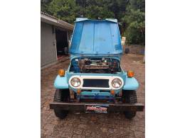 TOYOTA - BANDEIRANTE - 1967/1967 - Azul - R$ 42.900,00