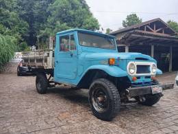 TOYOTA - BANDEIRANTE - 1967/1967 - Azul - R$ 42.900,00